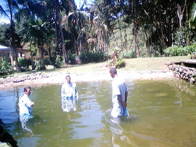Imagem 11 de 18  -  115 kB